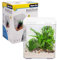 Aqua One Acrylic Betta Sense 9.7L Siamese Fighter Nano Tank, White, with Built in Filter, LCD Thermometer and Light