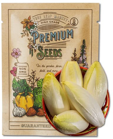 Endive Seeds for Planting - Witloof Chicory - 2 g 450 Seeds - Non-GMO, Heirloom Endive Seeds - Home Garden Vegetable Seeds - Sealed in a Beautiful Mylar Package for Extended Shelf Life