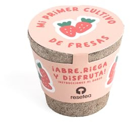 Mi Primer Cultivo de Fresa – Kit Educativo Montessori y STEM para Niños y Adultos | Incluye Semillas, Maceta Biodegradable y Sustrato | Actividad Sensorial y Regalo Original | Resetea