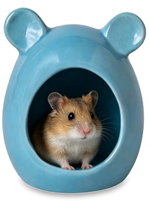 Maison en céramique pour hamster - Pour hamster nain, gerbille, ours doré - Bleu 1