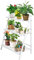 Scaffale Piante, Scala per Fiori in Legno, per Interni Balconi Esterni Giardino, 70 x 40 x 96 cm, Espositore per Piante a 3 Livelli Scaletta per Piante(bianco), Fioriera a Scala