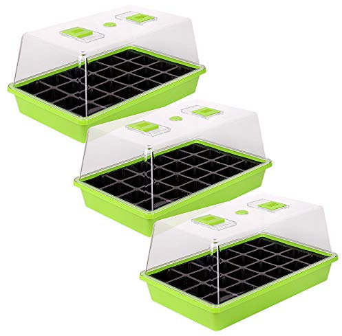 Schramm® Zimmergewächshaus Anzuchtkasten 1, 2 oder 3 Stück 38 x24 x18 cm Mini Gewächshaus Anzuchtset Anzucht Set Treibhaus Anzuchtschale mit Deckel und Belüftung, Größe:3 Stück