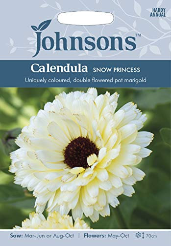 Calendula Snow Princess