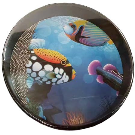 Sea Sound Percussion - Batterie de musique à effet vague réutilisable, perles métalliques pour une acoustique douce | Instruments éducatifs Compétences musicales inspirantes lors d'activités de