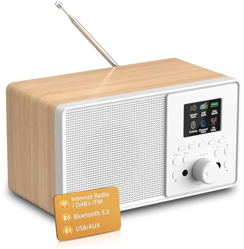 Radio Internet WiFi Dab+ avec Bluetooth 5.3 et écran Couleur | 30 000 stations, podcasts, USB, AUX, réveil et télécommande pour cuisine, salon, chambre, bureau et jardin Chêne