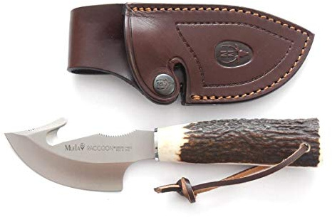 Muela Cuchillo de caza RACCOON-8A con hoja de acero inoxidable ACX-380 de 8 cm y empuñadura de asta de ciervo para Caza, Pesca, Supervivencia y Bushcraft + Portabotellas de regalo