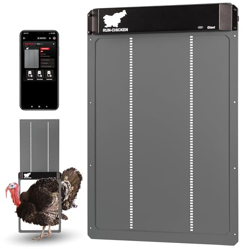 RUN-CHICKEN Door Giant – Large Automatic Poultry Coop Door for Ducks & Turkeys, Not for Chickens, Battery Powered/Solar Compatible, Heavy-Duty Aluminum, Predator Proof, Easy Install (Gray)