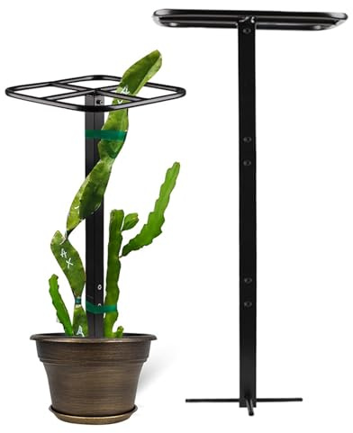 Rejilla para plantas trepadoras, soporte de jardín – Soporte para Pitaya, estructura trepadora de interior exterior para huerto, jardín, balcón, plantas domésticas, vid, boda, casa