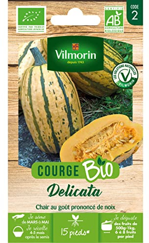 Vilmorin-3485742-COURGE DELICATA BIO VL 2