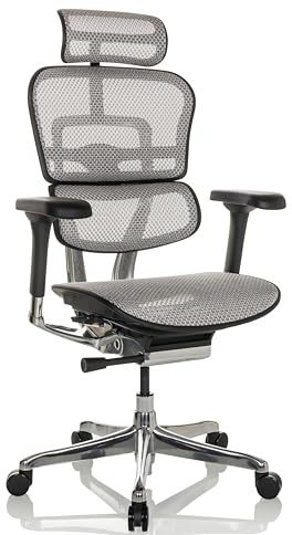 hjh OFFICE Bürostuhl ergonomisch ERGOHUMAN GEN2 Originales Design, 24h Einsatz, Bürosessel mit Flexibler Lordosenstütze, Netz Hellgrau