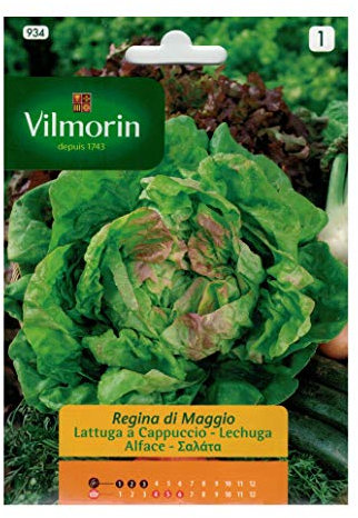 Sobre semillas LECHUGA REINA DE MAYO - 7 grs.