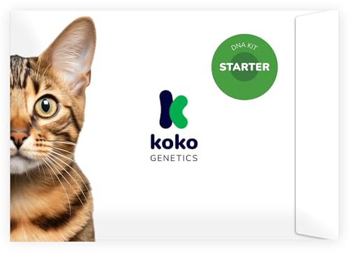 Koko Genetics Test ADN pour Chats Starter - Rapports sur Races et Traits - Mises à niveau sans frais