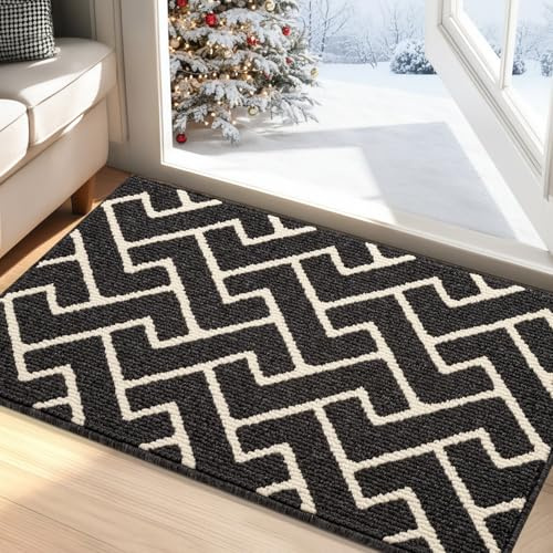 Biscpro Indoor Door Mats,60x90cm Door Mat Non Slip Backing,Dirt Trapper Mat Absorbent Non-Slip Doormat for Entrance,Inside,Kitchen,Front Back Door,Pets and Garden-Dark Gray
