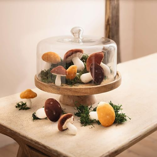 FRANK FLECHTWAREN Servierplatte Mangoholz mit Glasglocke, Maße: Platte Ø 30 x 9 cm, Glocke Ø 27 x 17 cm, GH 25 cm, praktisches Geschenk für jeden Feinschmecker