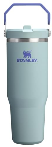 Stanley IceFlow 2.0 Flip Straw Tumbler with Handle 30 oz | Twist On Lid and Flip Up Straw | Leakproof Water Bottle | Insulated Stainless Steel | BPA-Free | Blue Cactus