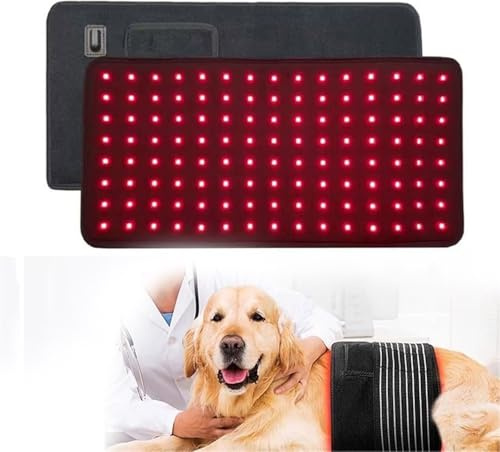 HKFGSHOP Rött ljus terapi bälte för husdjur, 120 st LED ljuspärlor, infraröd röd ljusterapienhet, justerbar kraft och tid, för smärtlindring, katter