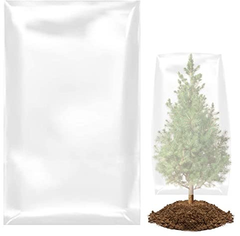Housse transparente pour plantes d'hiver pour plantes d'extérieur | Grande housse de protection durable pour l'hiver, la neige, le gel, le gel, protège les arbres fruitiers/plantes en pot/arbustes, 4
