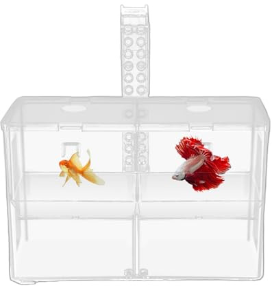 Veasbuu Scatola per allevamento di pesci per acquario, incubatrice trasparente con isolamento a doppia camera, scatola per allevamento di gamberetti in acqua salata d'acqua dolce cibo vivo per la