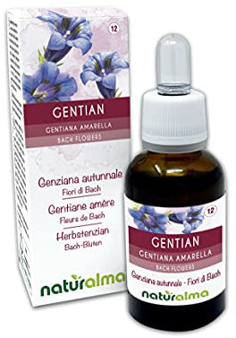Gentian ou Gentiane amère (Gentiana amarella) Remèdes floraux Naturalma - Gouttes 30 ml - Extrait liquide sans alcool - Essences florales - Vegan et sans alcool