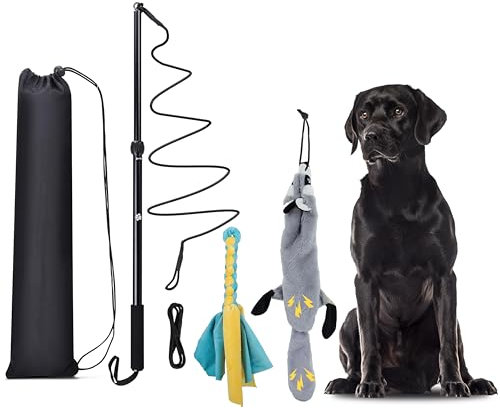 KOXXUD Reizangel Hunde, Profi Reizangel für Kleine, Mittelgroßer, Große Hunde, Martin Rütter für Ultimativen Spielspaß & Körperliche Auslastung (Seilstreifen + Biber)