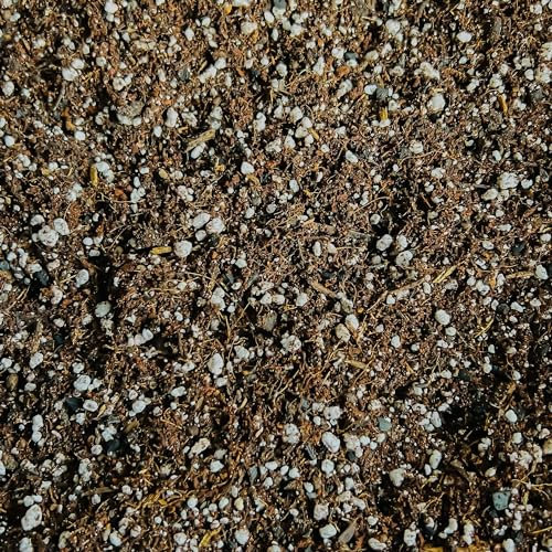Premium Succulent & Cacti Potting Mix with Activated Biochar – Free-Draining Soil for Indoor & Outdoor Cactus & Succulent Plants (5L)
