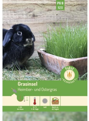 Pabst Keimkraft - 171120 - Graines d'herbe pour animaux de compagnie et de Pâques