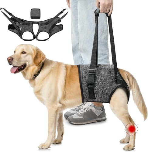 SlowTon Imbracatura di supporto per zampe posteriori per cani di taglia media - comoda imbracatura di sollevamento per cani regolabile per riabilitazione di anziani feriti disabili