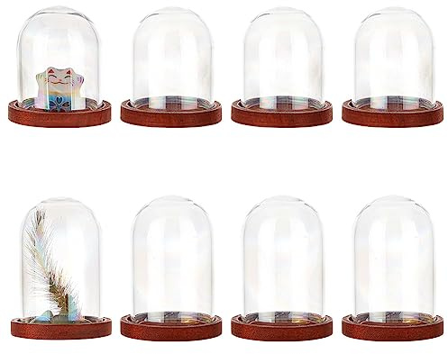 LuminaCreek 8 set med bas, 2 storlekar, glasklockor, display, kupolglasdekorationsflaskor