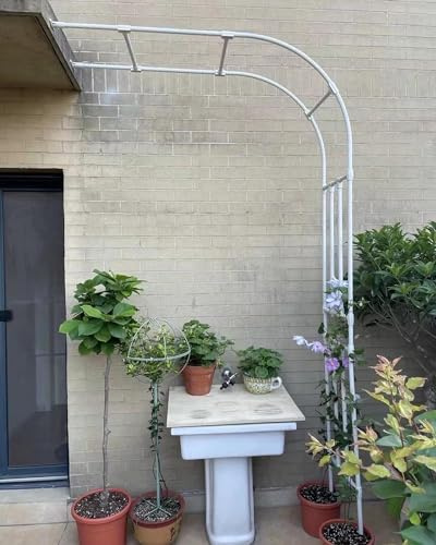 Arco de jardín para plantas trepadoras – Árbol de rosas semicircular de metal, 90 x 240 cm, 200 x 267 cm, 350 x 267 cm, perfecto para flores, pera, decoración de patio trasero (blanco)