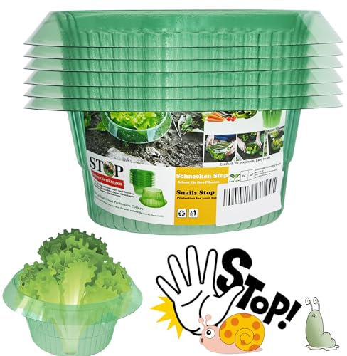 VDYXEW Lot de 6 collerettes anti-escargots pour vos plantes à salade et chou, sans produits chimiques, en plastique