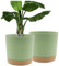 ADA - Vasi da 20 cm, fioriere moderne con fori di drenaggio e sottovaso staccabile, in plastica, per piante da giardino, davanzale, confezione da 2 vasi autoirriganti (verde)