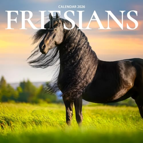 Friesian Horses 2026 Calendar: Elegant Black Beauties and Majestic Power