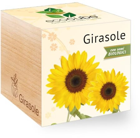 Feel Green New Grow Your Own, Girasole