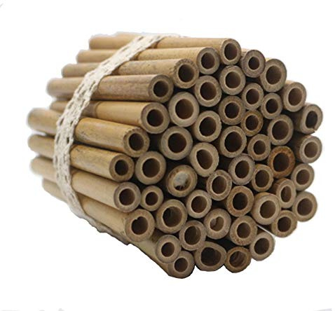 Super Idée Lot de 50 tubes en bambou de 10 cm à construire soi-même, réutilisables, pour maison à insectes, hôtel abeille sauvage