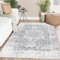Famibay Grey Rugs Living Room Soft Fluffy Rug for Bedroom Non Slip No Shedding Boho Area Rugs Washable Floor Carpet for Bedroom Living Room Entryway