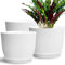 SE SUN-E Lot de 3 grands pots de fleurs en plastique avec trou de drainage et soucoupes pour plantes d'intérieur Blanc 25,4 cm