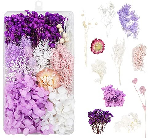 Dried Flowers Material Kit Handmade DIY Dried Flowers for Crafts Kit, Dry Flowers Decoration Multi-coloured Dried Flowers for Use in Wall Hanging Decorations, Gift Wrapping Decorations (Purple)