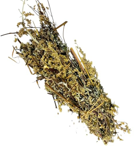 Mazzi di Assenzio Essiccato Artemisia 220 Grammi - 1.95 Chili - Classe A Artemisia Absinthium (460 grammi)