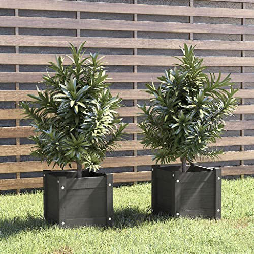 puraday Lot de 2 jardinières surélevées pour jardin 31 x 31 x 31 cm - Jardinière pour légumes - Spirale d'herbes - XXL - Jardinière surélevée en pin massif - Jardinière en pin massif - Pour terrasse,