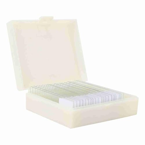 20pcs Mikrobiologische Bakterielle Proben, Biologie -Mikroskopscheiben Laborprobe für Bildung