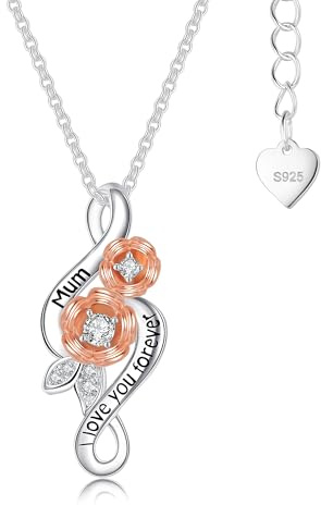 Diorra Silver Necklaces for Women 925 Sterling Silver Diamond Charm Necklace Dainty CZ Crystal Heart Pendant Chain Jewellery Birthday Gifts for Women Girls