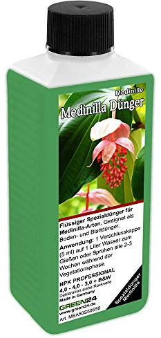Medinilla magnifica Dünger NPK Volldünger Flüssigdünger, Medinille düngen