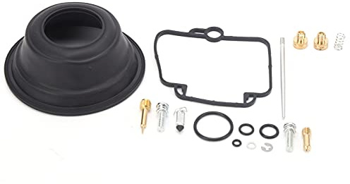 Kit di Ricostruzione del Carburatore Kit di Riparazione per la Ricostruzione del Carburatore del Carburatore Riparazione di Revisione Adatta per DR350 Goose350 Motore Monocilindrico BST