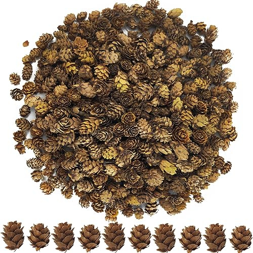 TIHOOD 320PCS 1.18-1.97 Natural Mini Pine Cones in Bulk for DIY Crafts, Home Decoration, Fall and Christmas, Wedding Decor