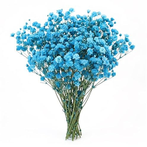 LAKPYN 50 Piezas Flores Secas Decorativas Eternas en Riesgo, Decoraciones Florales Duraderas para Hogar, Fiestas y Manualidades, Apariencia Natural y Sin Mantenimiento (Azul)