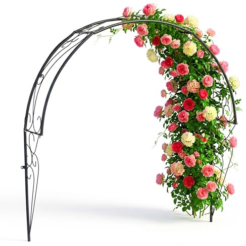 Relaxdays Arco per Rose semicircolare, Metallo, 105 x 100 x 21 cm, per rampicanti su finestre e Porte, da Parete, Nero