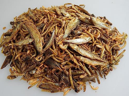 Reptilien- Futter 6 Sorten Mix Trockenfutter Schildkrötenfutter Reptilien Mix (250 g)