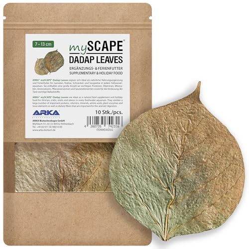 ARKA mySCAPE-DADAP Leaves - 7-13cm / 10 pièces - Nourriture Naturelle de Vacances pour crevettes, escargots & silures suceurs, favorise la santé dans Les Aquariums d'eau Douce.