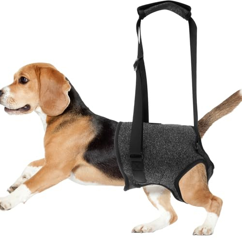 Fyeme Aide au Transport pour Chien - Patte arrière réglable - avec poignée Confortable et - pour blessure, Handicap, arthrite, Jambe de Chien - Aide à la rééducation (Taille M)
