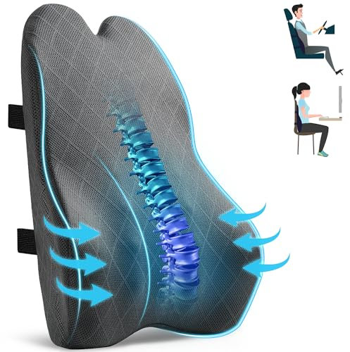 SKYNY Ergonomic Lumbar Support Cushion, Memory Foam Back Support Pillow for Office Chair, Car Seat, Recliner, Large Back Support Cushion with Adjustable Straps,Lower Back Pain relief Gray